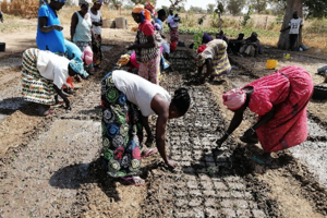 hand-fuer-afrika-landwirtschaftsprojekt