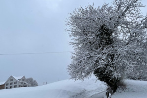 slider-solituede-schnee-winter-29_11_2021-3