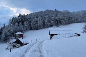 slider-solituede-schnee-winter-29_11_2021-5