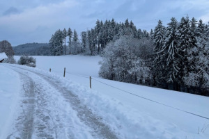 slider-solituede-schnee-winter-29_11_2021-7