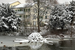 nestweiher-eis-winter-22.1.2023-3
