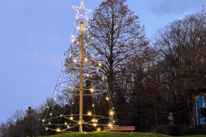 christbaum-gruene-weihnachten-2022-1