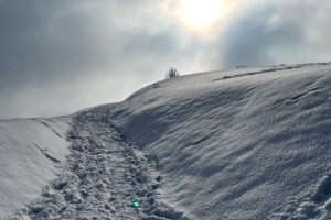 slider-solituede-winter-zucker-kick-frost-12.2.2021-1