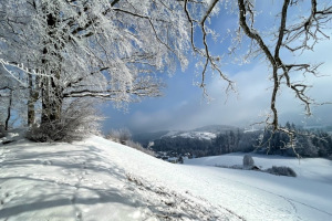 slider-solituede-winter-zucker-kick-frost-12.2.2021-15