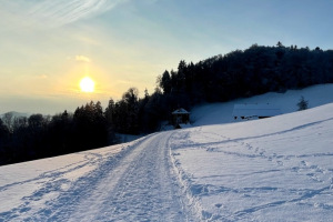 slider-solituede-winter-zucker-kick-frost-12.2.2021-17