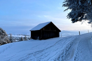 slider-solituede-winter-zucker-kick-frost-12.2.2021-20