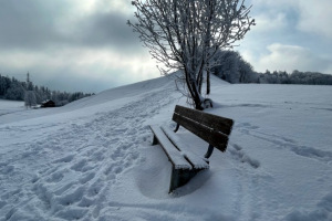 slider-solituede-winter-zucker-kick-frost-12.2.2021-4