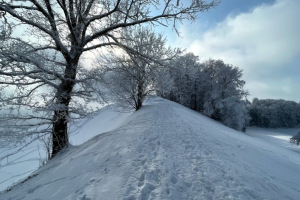 slider-solituede-winter-zucker-kick-frost-12.2.2021-7