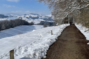 slider-solituede-menzlen-schnee-winter-4.4.2022-11