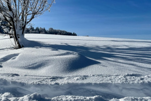 winterzauber-solituede-grosser-schnee-16.1.2021-18