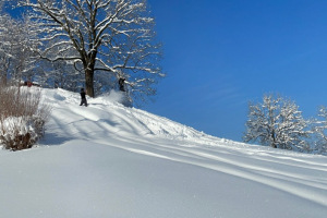 winterzauber-solituede-grosser-schnee-16.1.2021-26