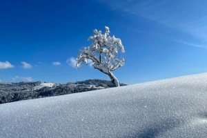 winterzauber-solituede-grosser-schnee-16.1.2021-34