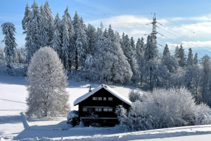 winterzauber-solituede-grosser-schnee-16.1.2021-4
