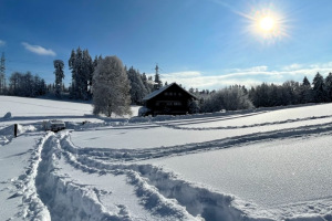 winterzauber-solituede-grosser-schnee-16.1.2021-6